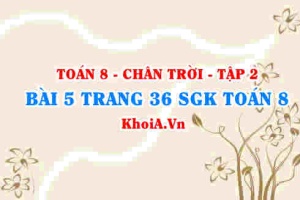 Bài 5 trang 36 Toán 8 Chân trời sáng tạo Tập 2
